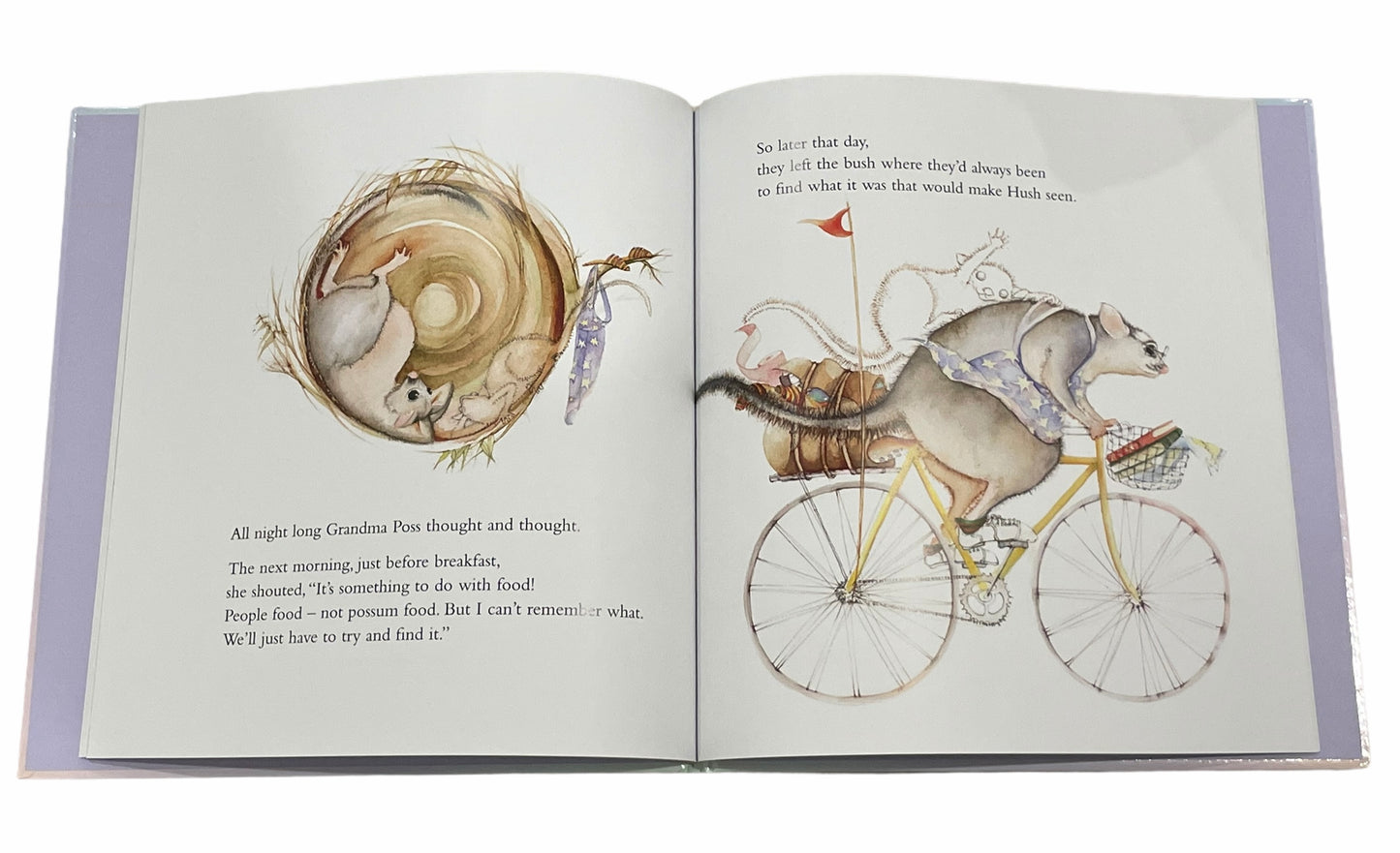 Possum and Frog - Possum Magic Book