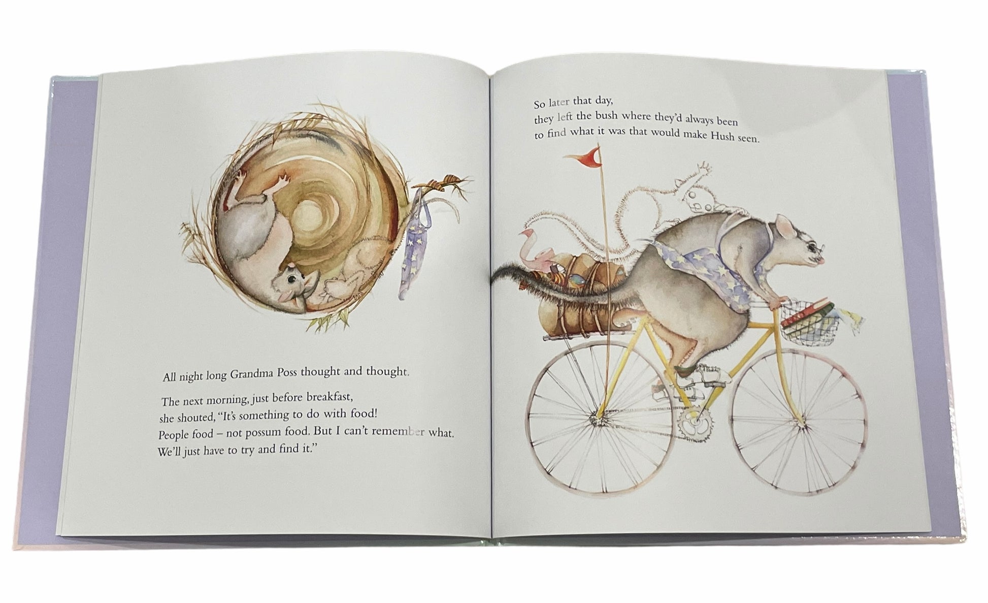 Possum and Frog - Possum Magic Book